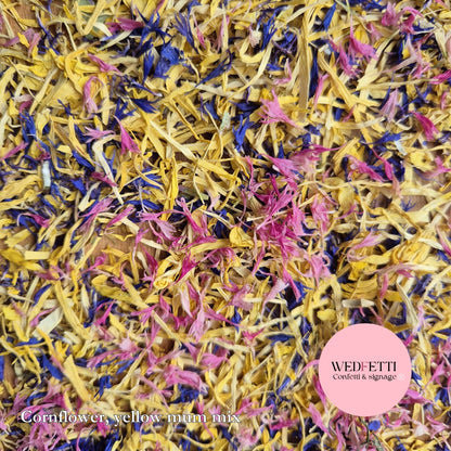 Petal Confetti - Blue & pink cornflower chrysanthemum mix