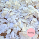 Petal Confetti hydrangea - All The Whites + Light Ivory SnowPetal