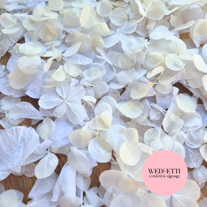 Petal Confetti hydrangea - All The Whites + Light Ivory SnowPetal