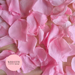 Rose Petals - Rose Pink