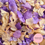 Petal Confetti hydrangea - Purple Peach