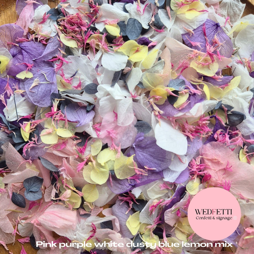 Petal Confetti hydrangea - Pink Purple White Dusty Blue Lemon Mix