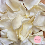 Rose Petals - Dark Ivory Sherbet