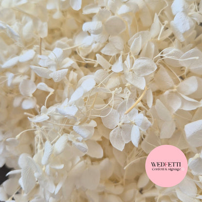 White Ivory hydrangea petals small