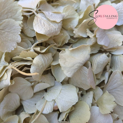 SLOW FALLING PETALS Vintage Sage hydrangea petal premium mix litre