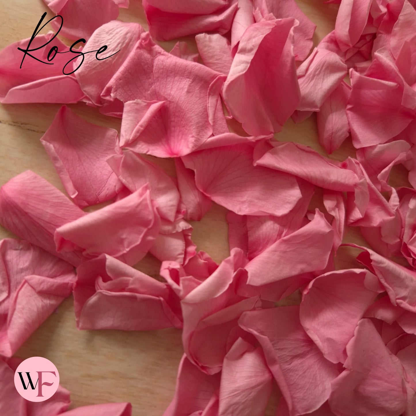 Rose Petals - Rose Pink