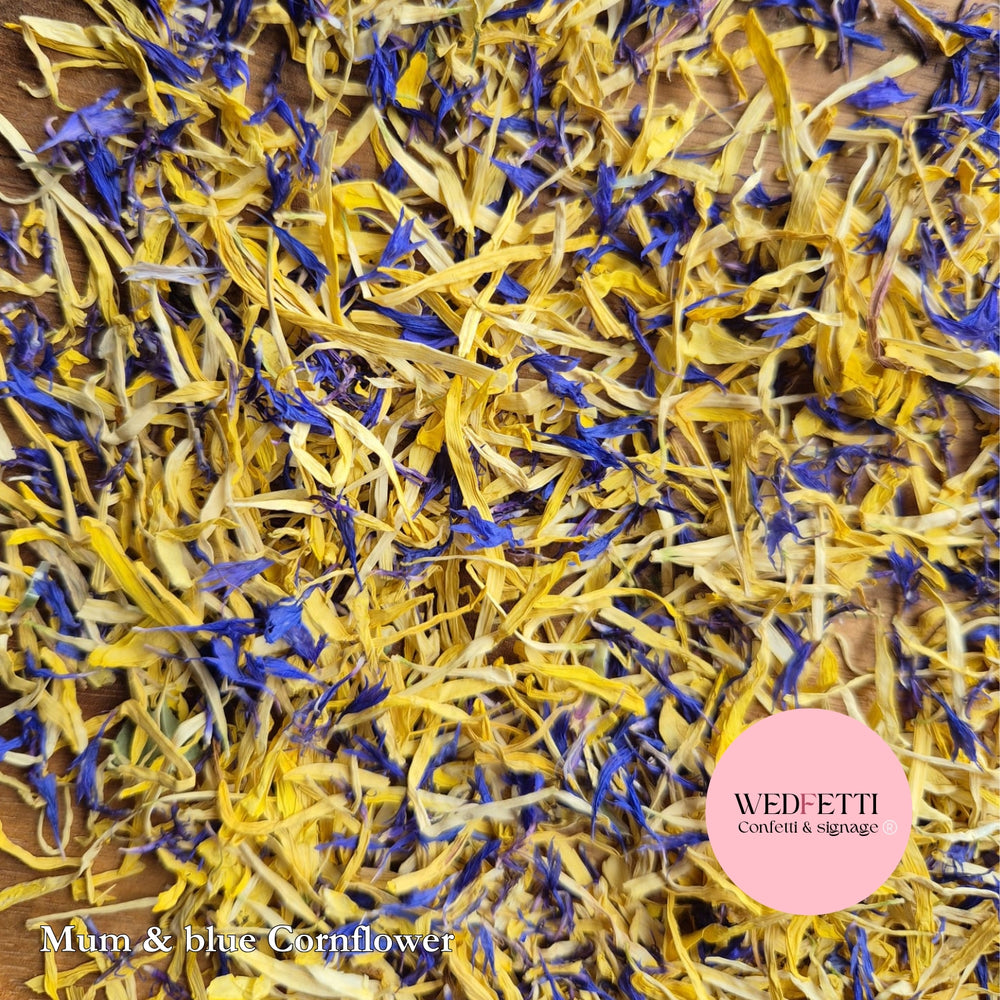 Petal Confetti - Blue cornflower yellow chrysanthemum mix