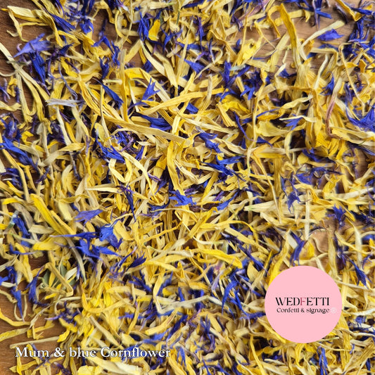 Petal Confetti - Blue cornflower yellow chrysanthemum mix