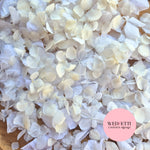 Petal Confetti hydrangea - All The Whites + Light Ivory SnowPetal