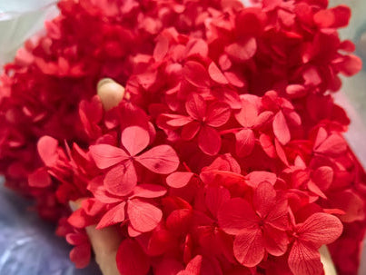 FlutterFly® Hydrangea petal Confetti - 5 x litre bundle