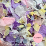 Petal Confetti hydrangea - Pink Purple White Dusty Blue Lemon