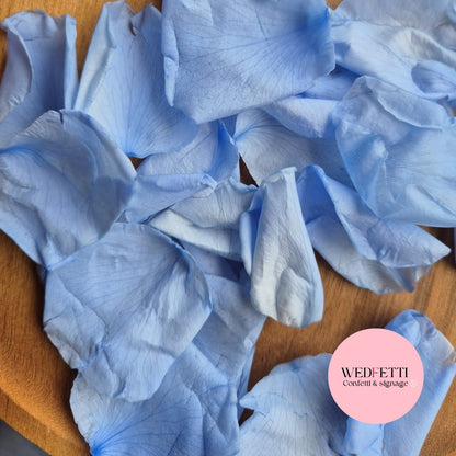 Rose Petals - Light Blue