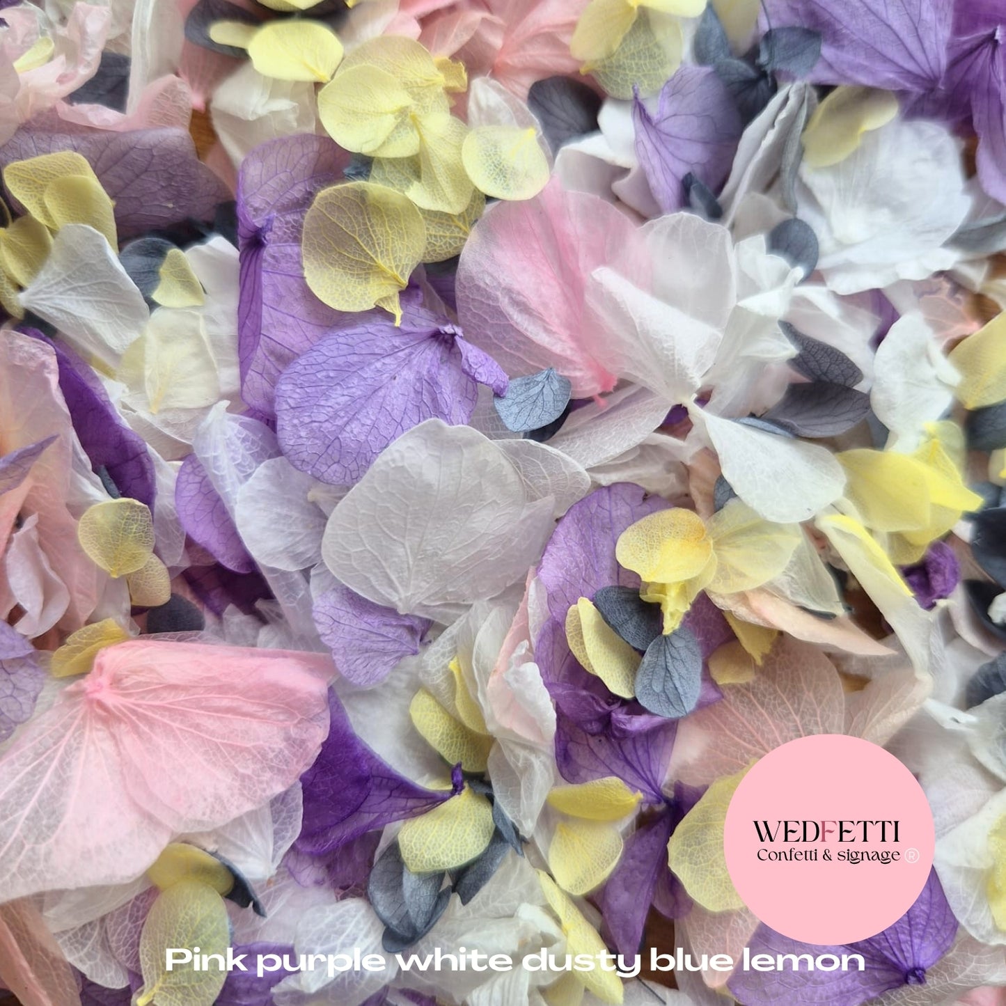 Petal Confetti hydrangea - Pink Purple White Dusty Blue Lemon