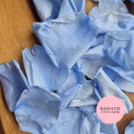 Rose Petals - Light Blue