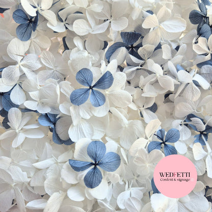 FlutterFly® Petals - Dusty Blue White