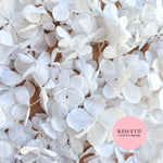 FlutterFly® Petal Confetti - Pearl Snow White