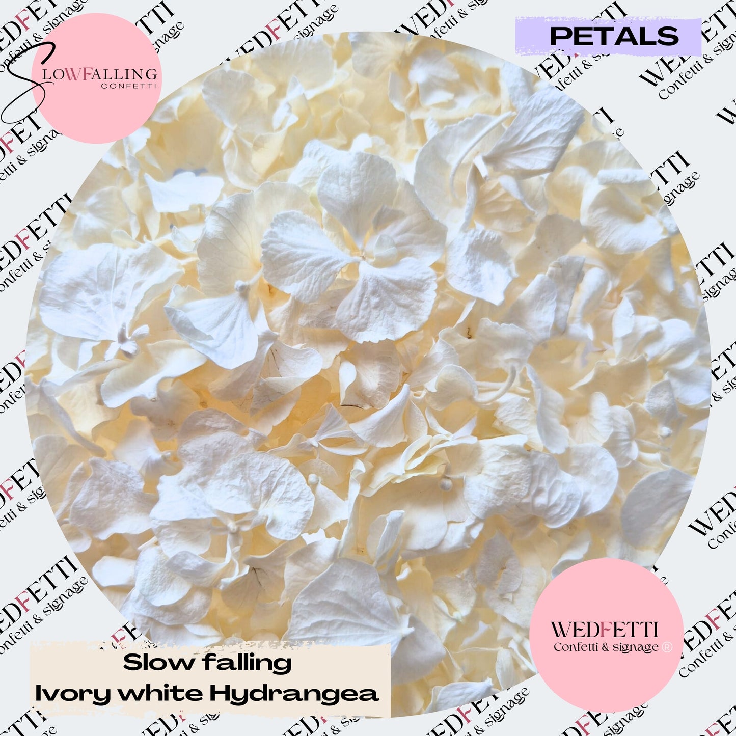 Slow falling PETALS White Ivory hydrangea petal mix