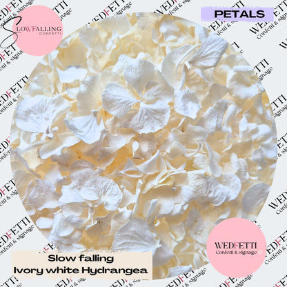 Slow falling PETALS White Ivory hydrangea petal mix