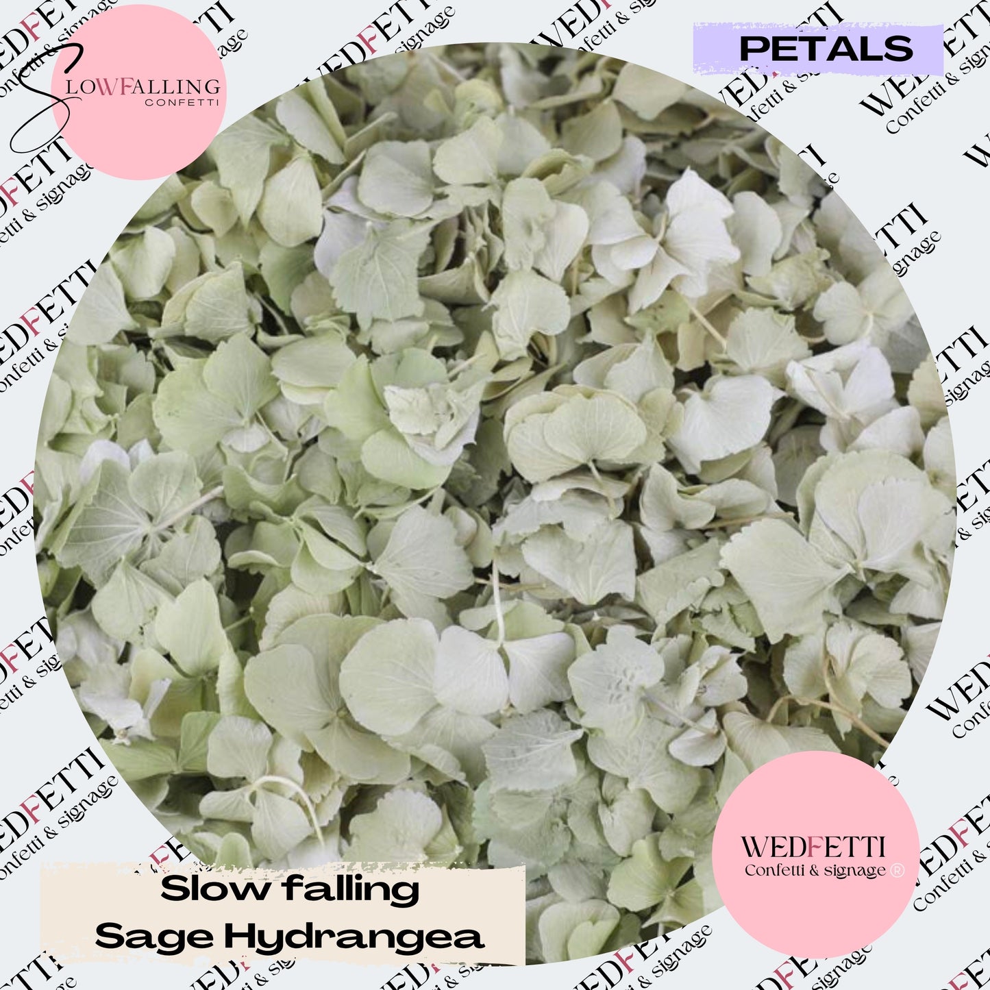 SLOW FALLING PETALS Sage hydrangea petal premium mix