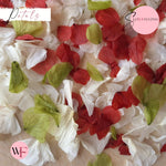 Petal Confetti hydrangea - Burgundy White Green