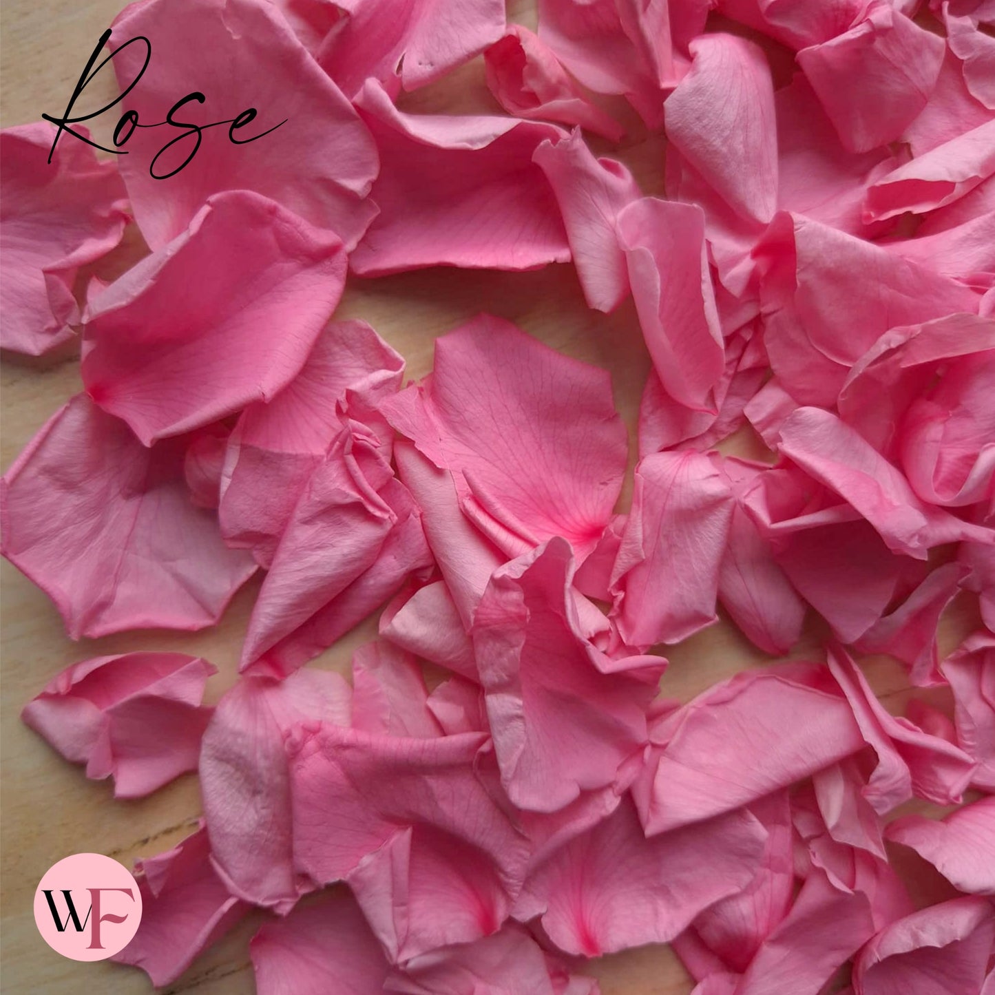 Rose Petals - Rose Pink