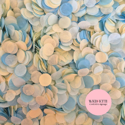 Slow falling paper Confetti - Dusty Blue Light Blue Ivory