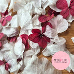 Petal Confetti hydrangea - White + Burgundy
