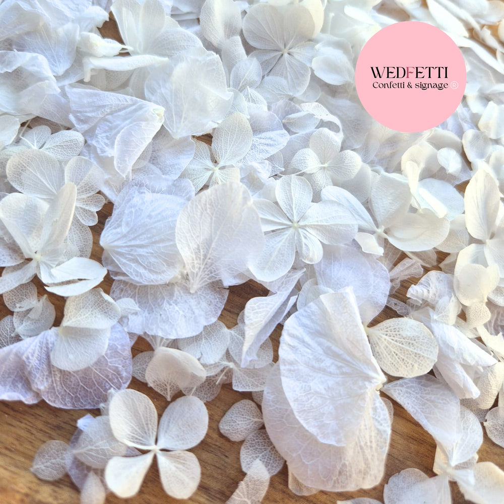 Petal Confetti hydrangea - All The Whites
