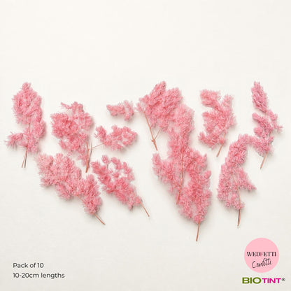 Dried & Preserved Pine Leaves on Stems