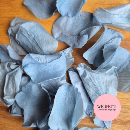 Rose Petals - Dusty Sea