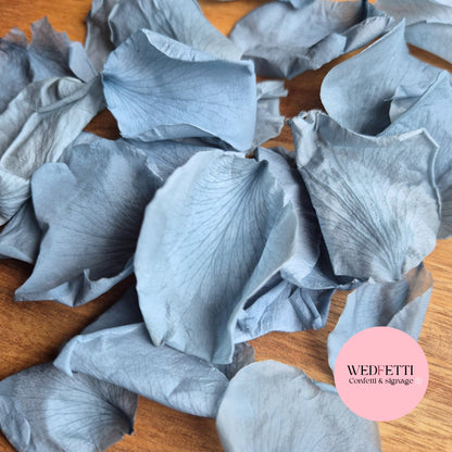 Rose Petals - Dusty Sea