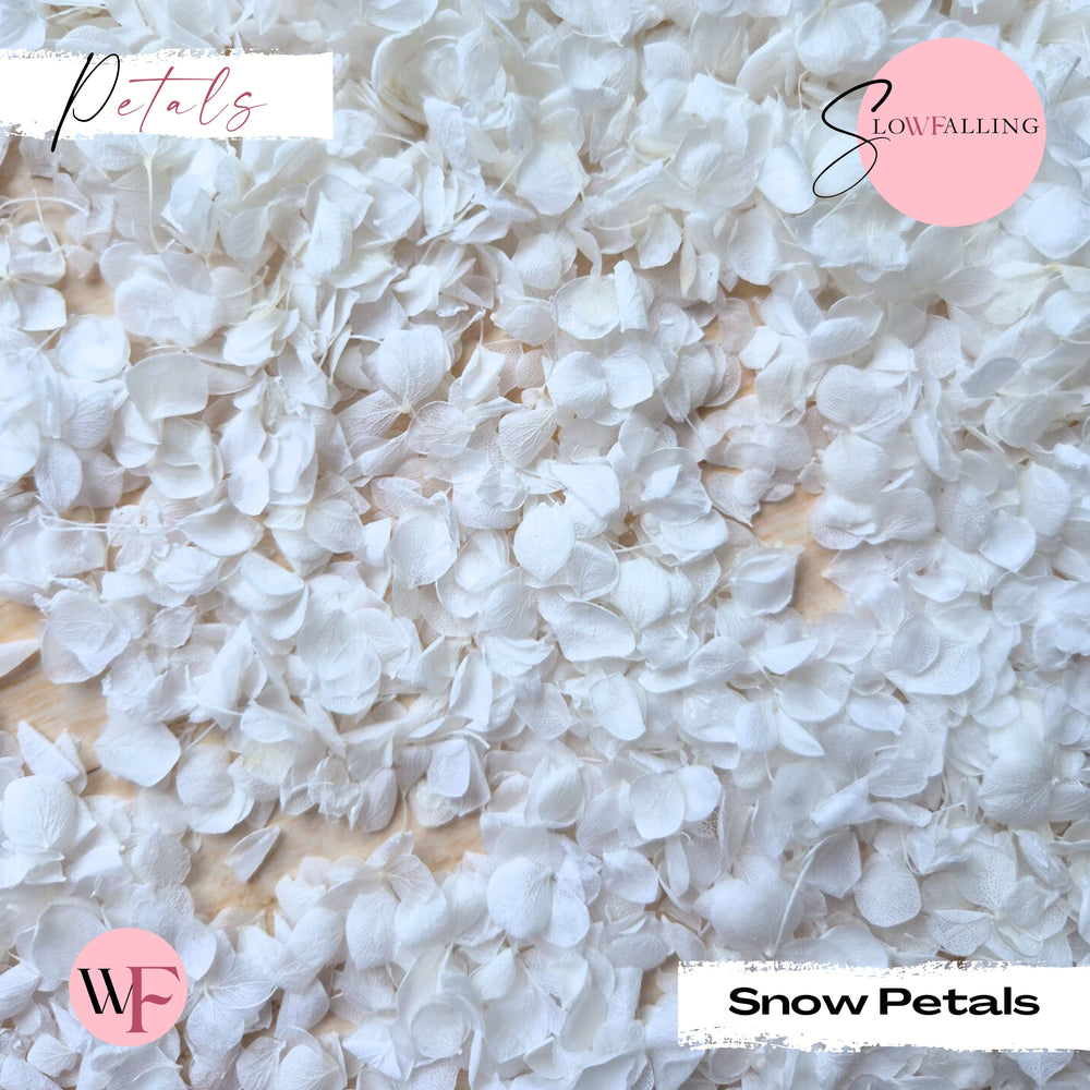 Snow Petal Confetti® - Snow Petals - White
