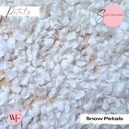 Snow Petal Confetti® - Snow Petals - White