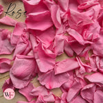Rose Petals - Rose Pink