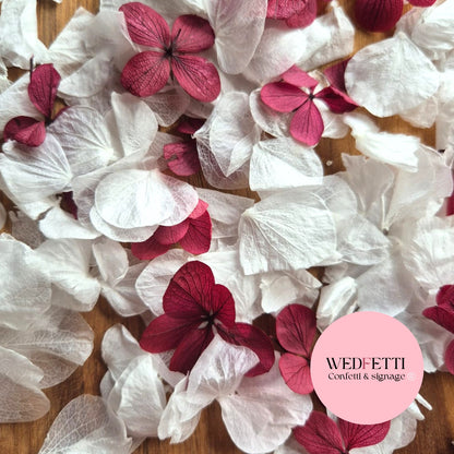 Petal Confetti hydrangea - White + Burgundy