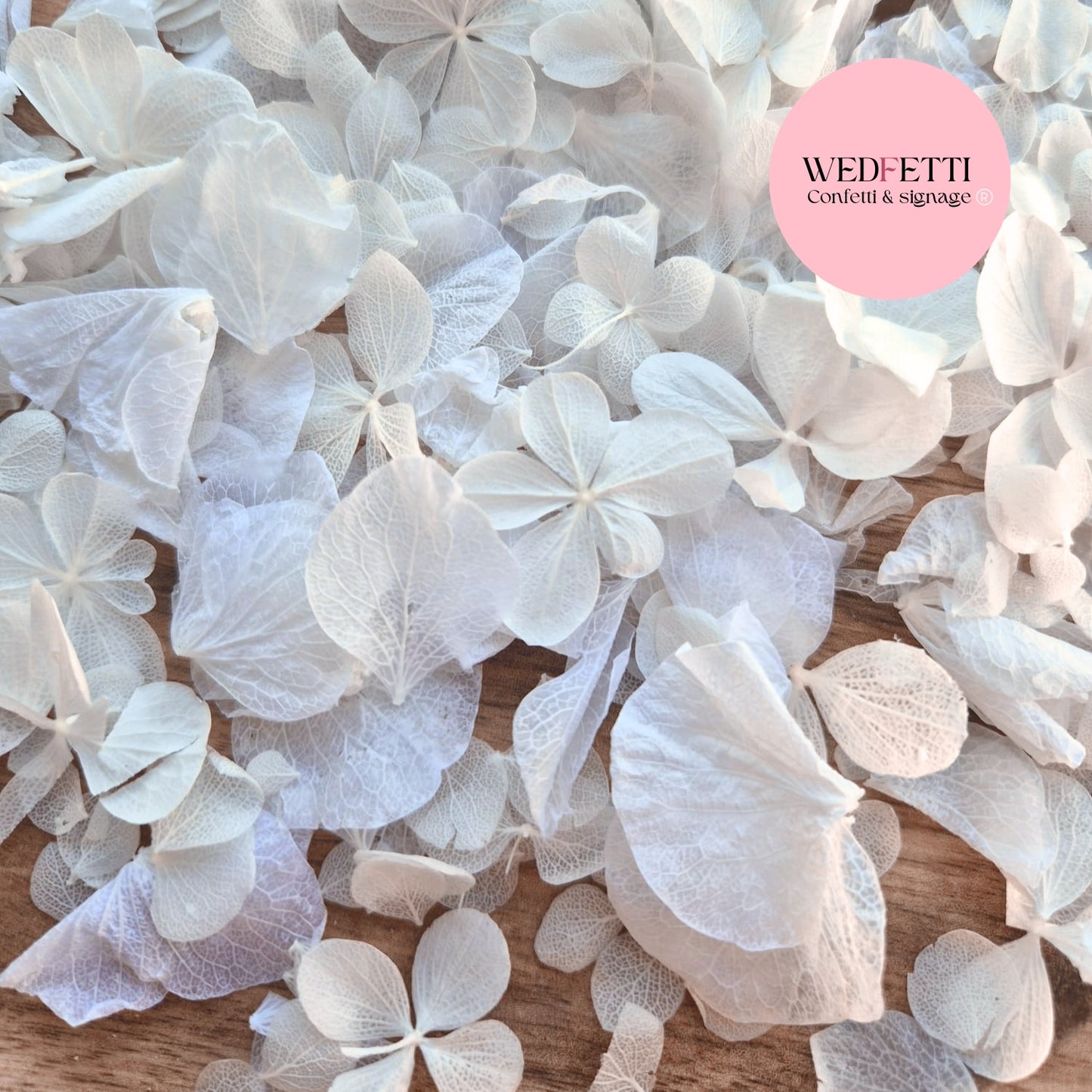 Petal Confetti hydrangea - All The Whites