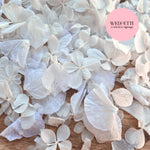 Petal Confetti hydrangea - All The Whites