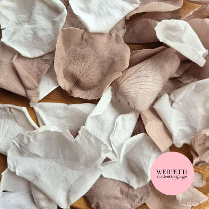 Rose Petals - Urban White