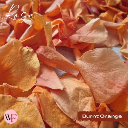 Rose Petals - Burnt Orange