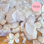 Petal Confetti hydrangea - All The Whites