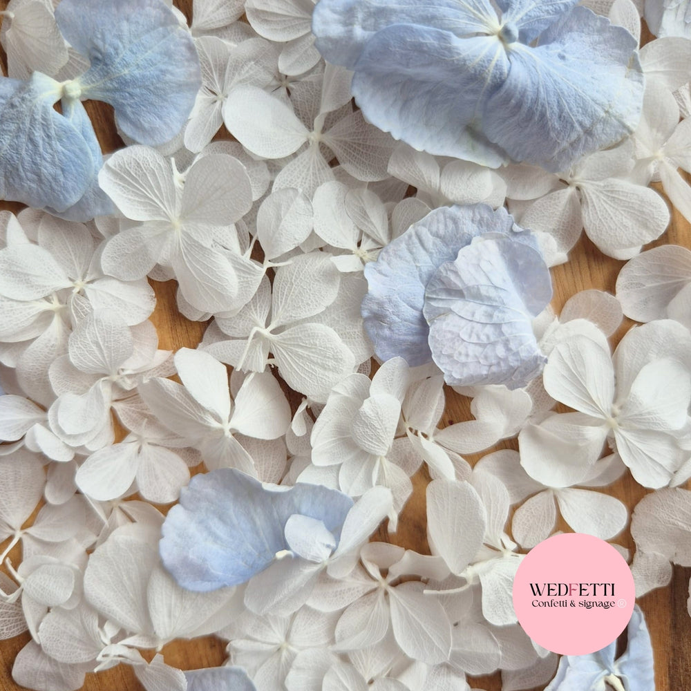 FlutterFly® + Blue Freeze dried hydrangea
