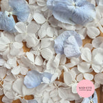FlutterFly® + Blue Freeze dried hydrangea