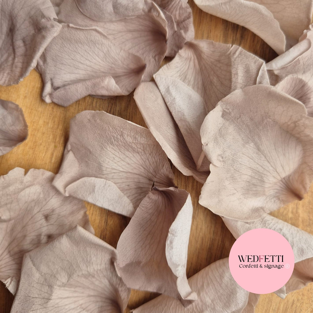 Rose Petals - Urban