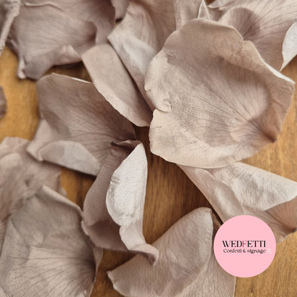 Rose Petals - Urban