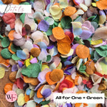 Snow Petal Confetti® - All For one Mix + Green