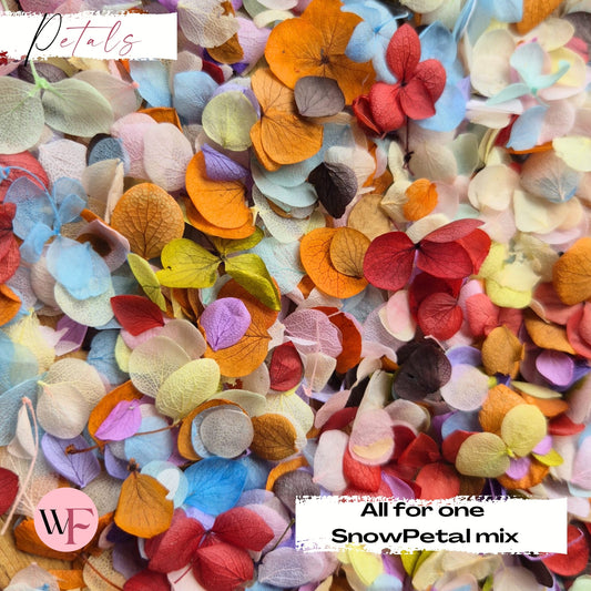 Snow Petal Confetti® - All For one Mix