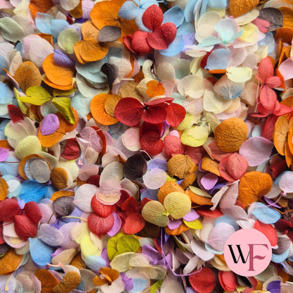 Snow Petal Confetti® - All For one Mix
