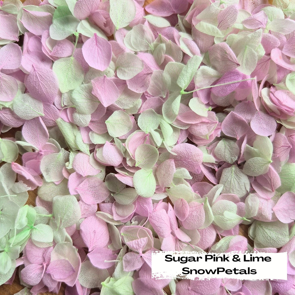 Snow Petal Confetti® - Sugar Pink & Lime