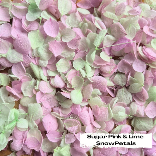 Snow Petal Confetti® - Sugar Pink & Lime