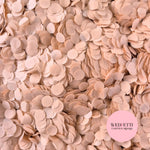 Slow falling paper Confetti - Dusty Blush